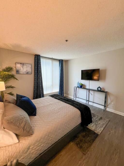 Exceptional 2 Bedroom In Heart Of Hollywood 201 Appartement *